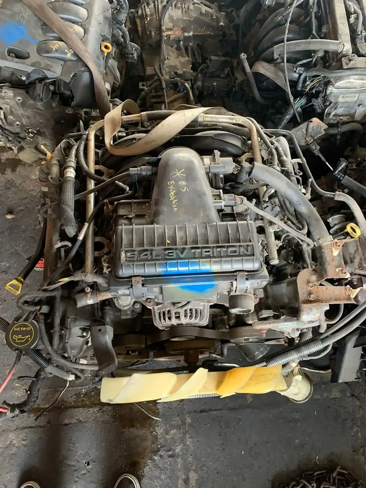 Motores en Guadalajara 10